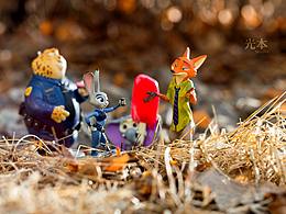 光本互动&模型拍摄