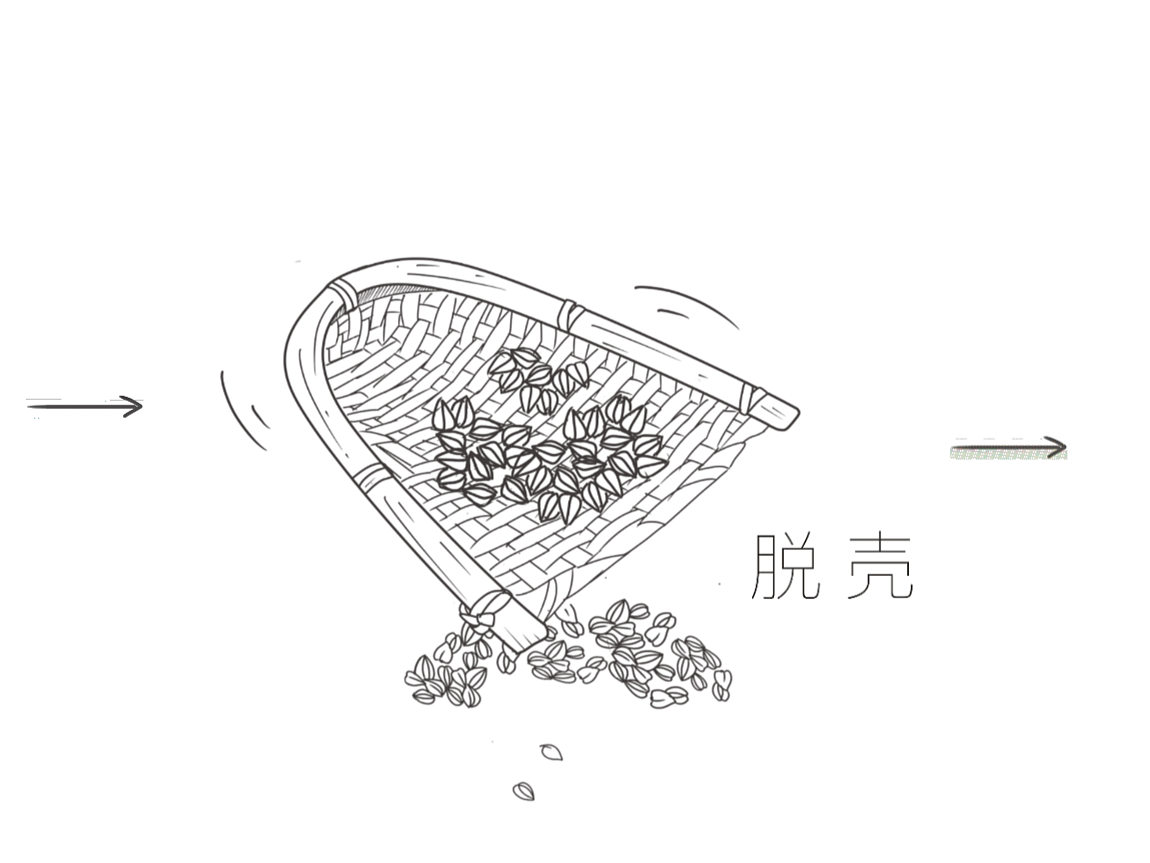 苦荞茶|插画|创作习作|佐伊的平行世界 - 原创作品 - 站酷 (zcool)