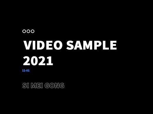 2021-部分视频内容