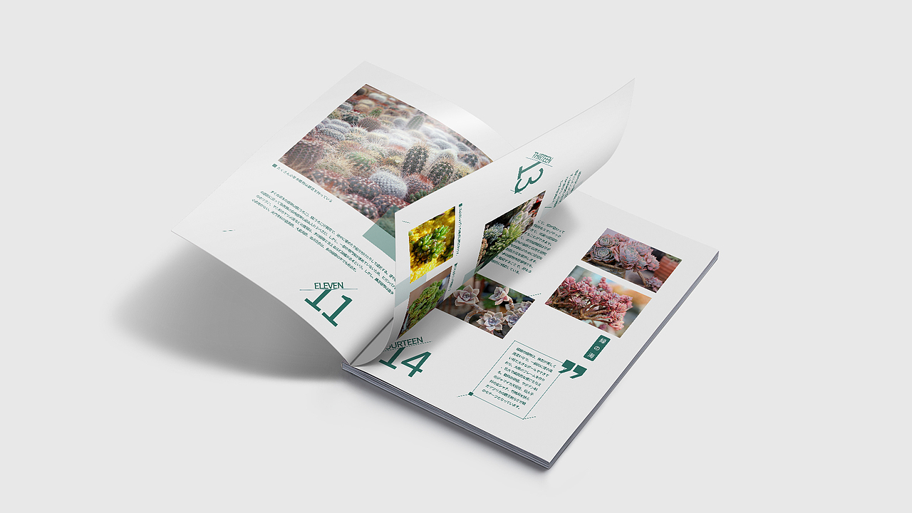 画册（图ZMTcyNzQ2MTgw） - 书籍/画册 - 站酷设计师CAONEZERO原创素材 - 站酷ZCOOL