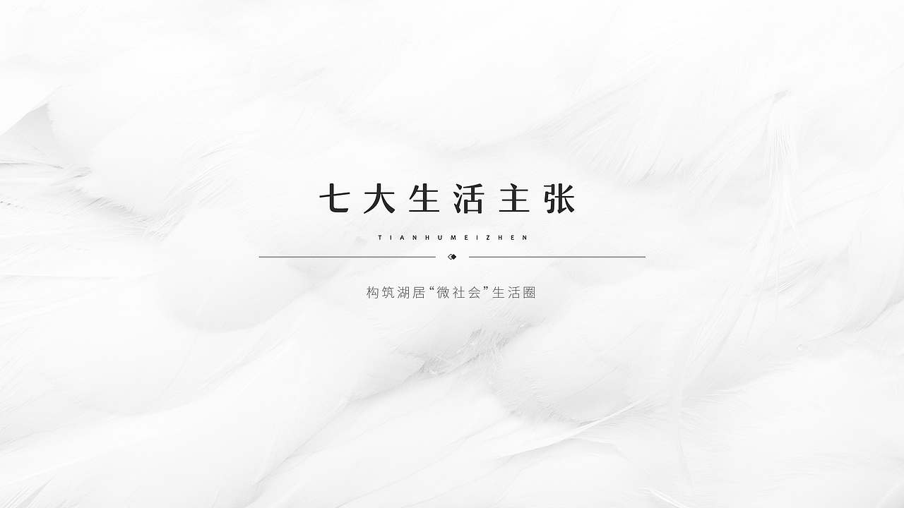 金科——天湖美镇