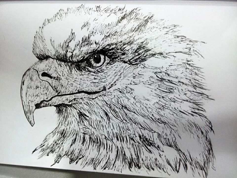 ~钢笔画练习~（图ZNjAxNjkwOTY=） - 绘画 - 站酷设计师_半调原创素材 - 站酷ZCOOL
