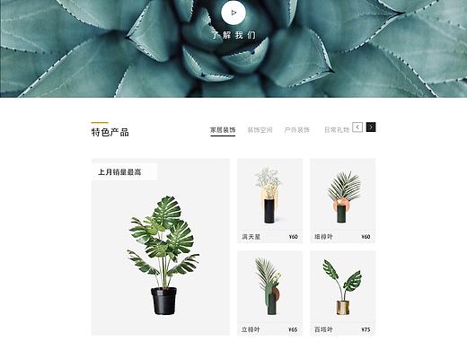 绿植网页设计