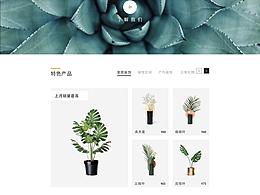 绿植