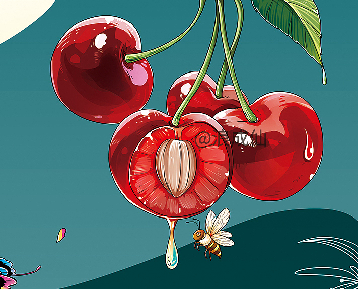 大樱桃包装插画
