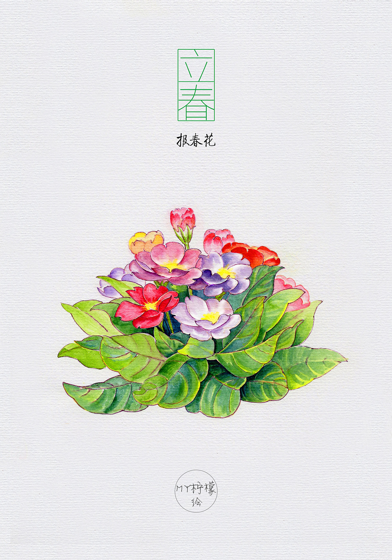 二十四节气花卉插画