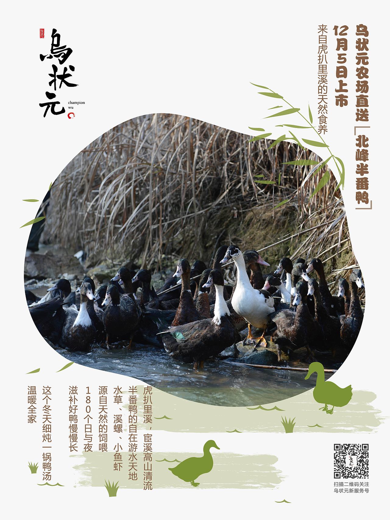 BRAND WORKS | 餐饮品牌 乌状元 黑猪肉(图ZMTAwNzQxMjY4) - 品牌 - 站酷设计师StudioJU聚品牌原创素材 - 站酷ZCOOL