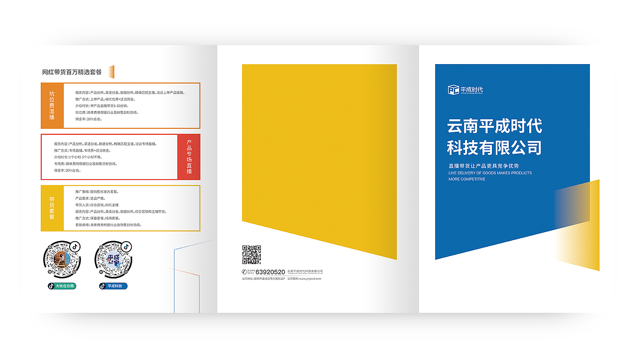 标志+画册+折页