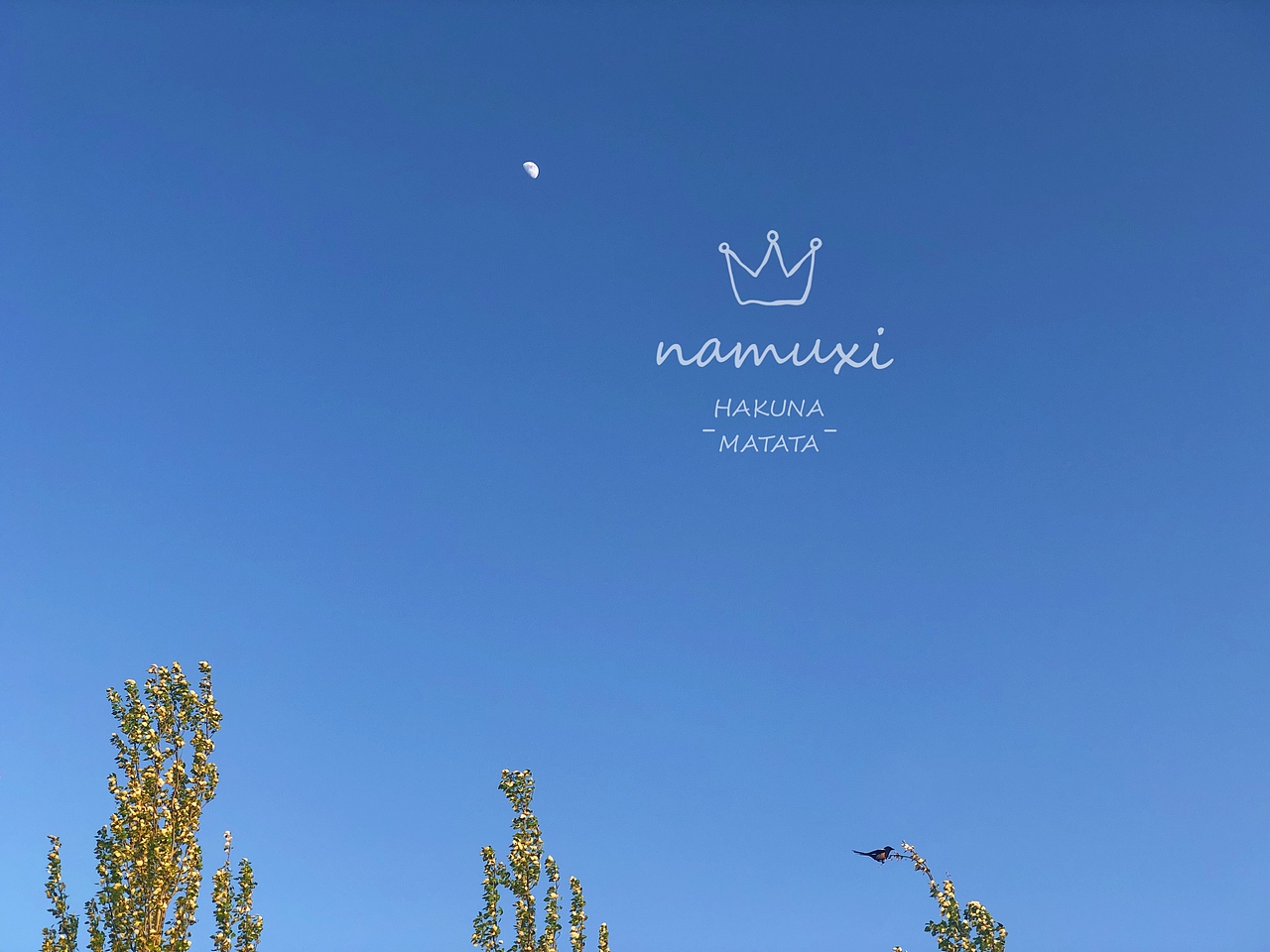 路（图ZMTU4MTk5MDk2） - 风光摄影 - 站酷设计师娜沐兮原创素材 - 站酷ZCOOL