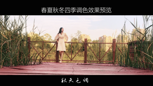 350款Pr电影调色滤镜,轻松调出春夏秋冬四季色调!