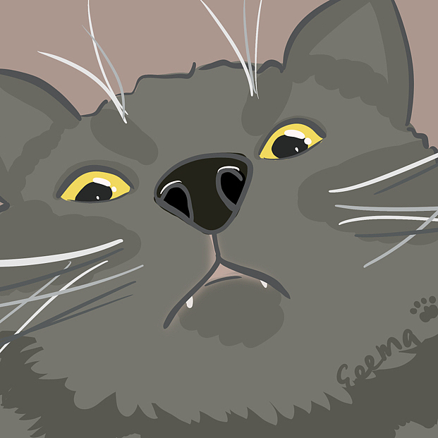 猫咪（图ZMzI0NDIyMjY0） - 创作习作 - 站酷设计师EeemaQT原创素材 - 站酷ZCOOL