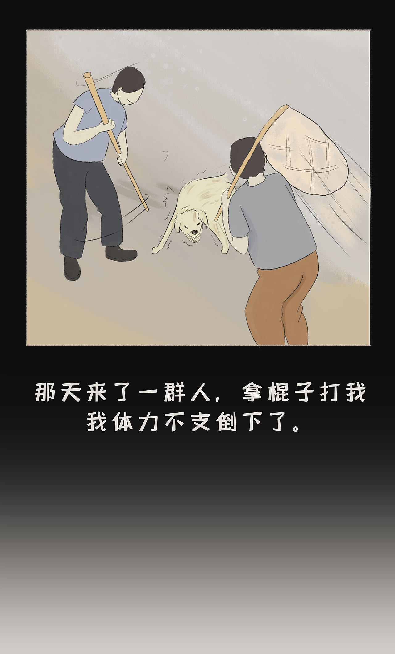 那些被遗弃的宠物都去哪儿了?