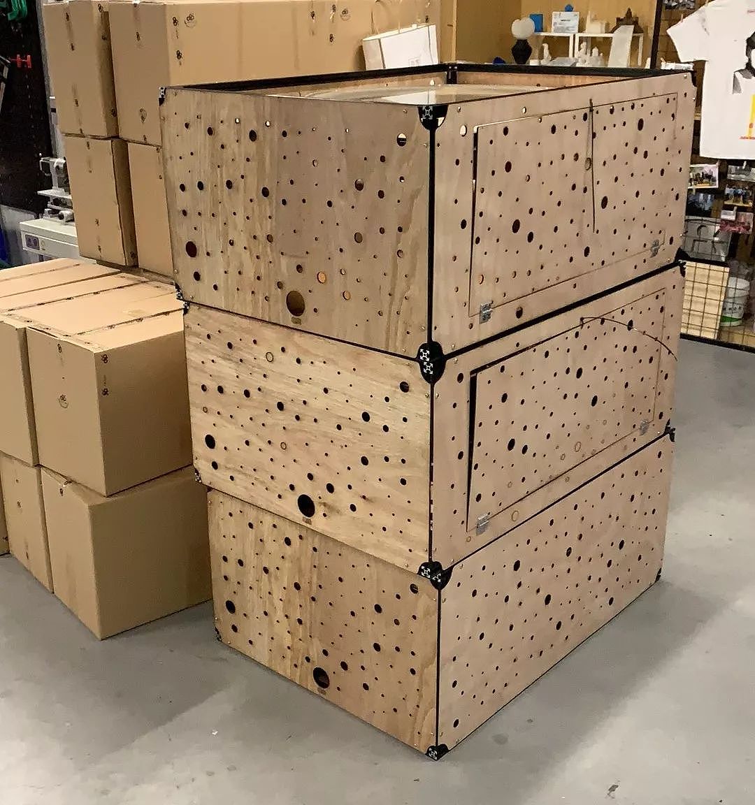 SPIRAL |《森之语》这是关于一张纸天马行空的浪漫（图ZMTYyNDkyMDQw） - 展陈设计 - 站酷设计师钱泓霖艺术工作室原创素材 - 站酷ZCOOL