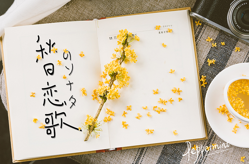 手写字练习（图ZMTk1OTQ5NTcy） - 字体/字形 - 站酷设计师peppermint412原创素材 - 站酷ZCOOL