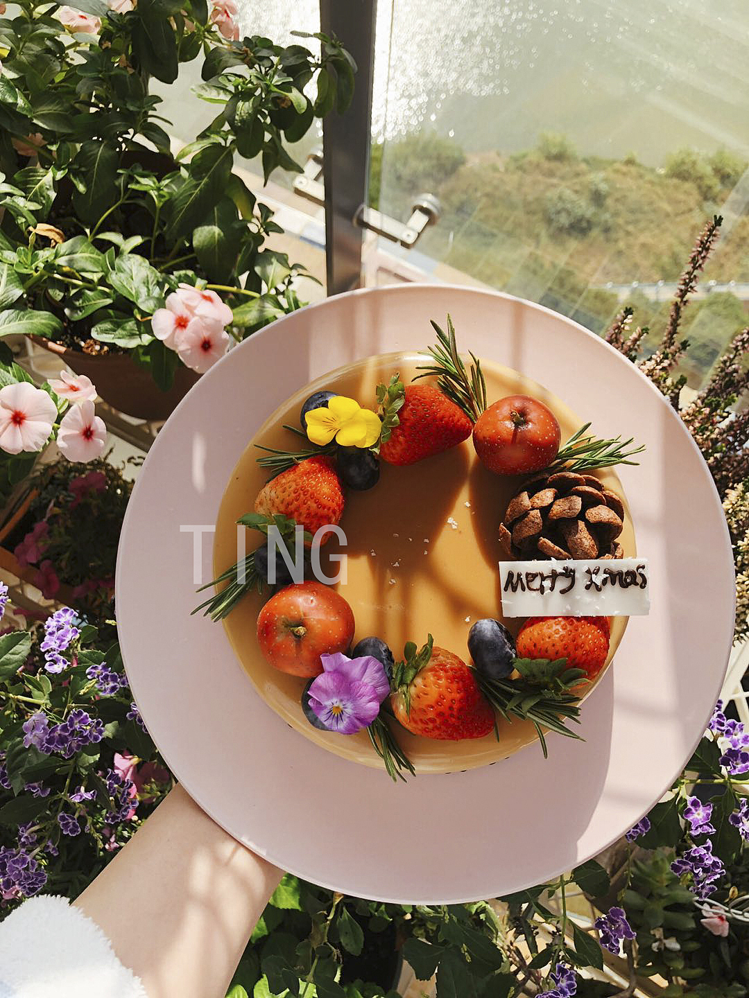 圣诞蛋糕（图ZMjI0MDMwMzU2） - 产品摄影 - 站酷设计师呆桃猪包原创素材 - 站酷ZCOOL