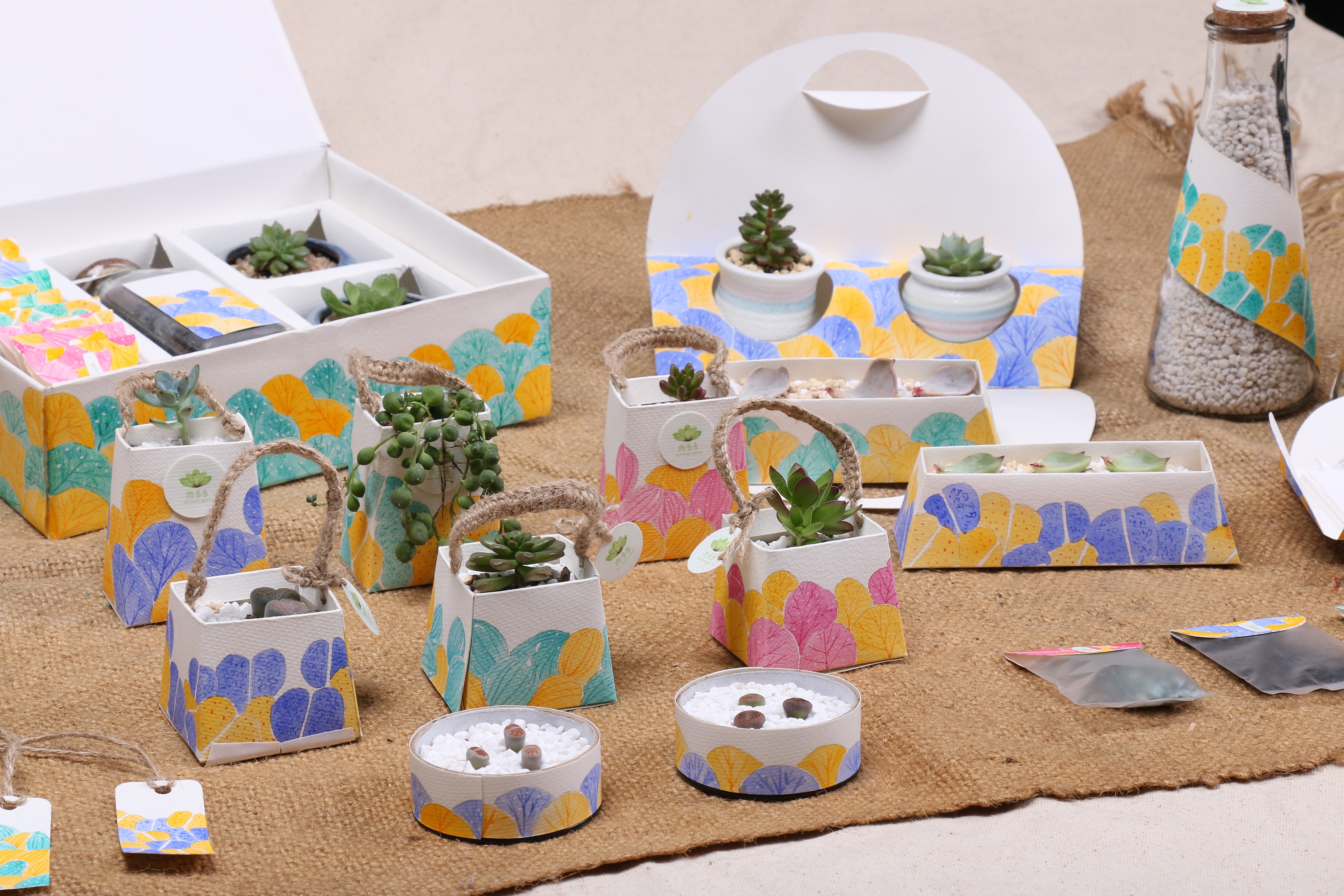 纯手绘多肉植物包装|平面|包装|prince叶 - 原创作品 - 站酷 (zcool)