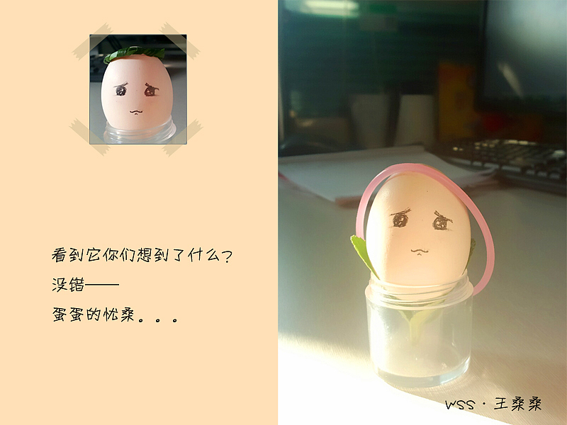 蛋蛋的忧桑（图ZMTkzNDYwMDA=） - 产品摄影 - 站酷设计师chumulanling原创素材 - 站酷ZCOOL