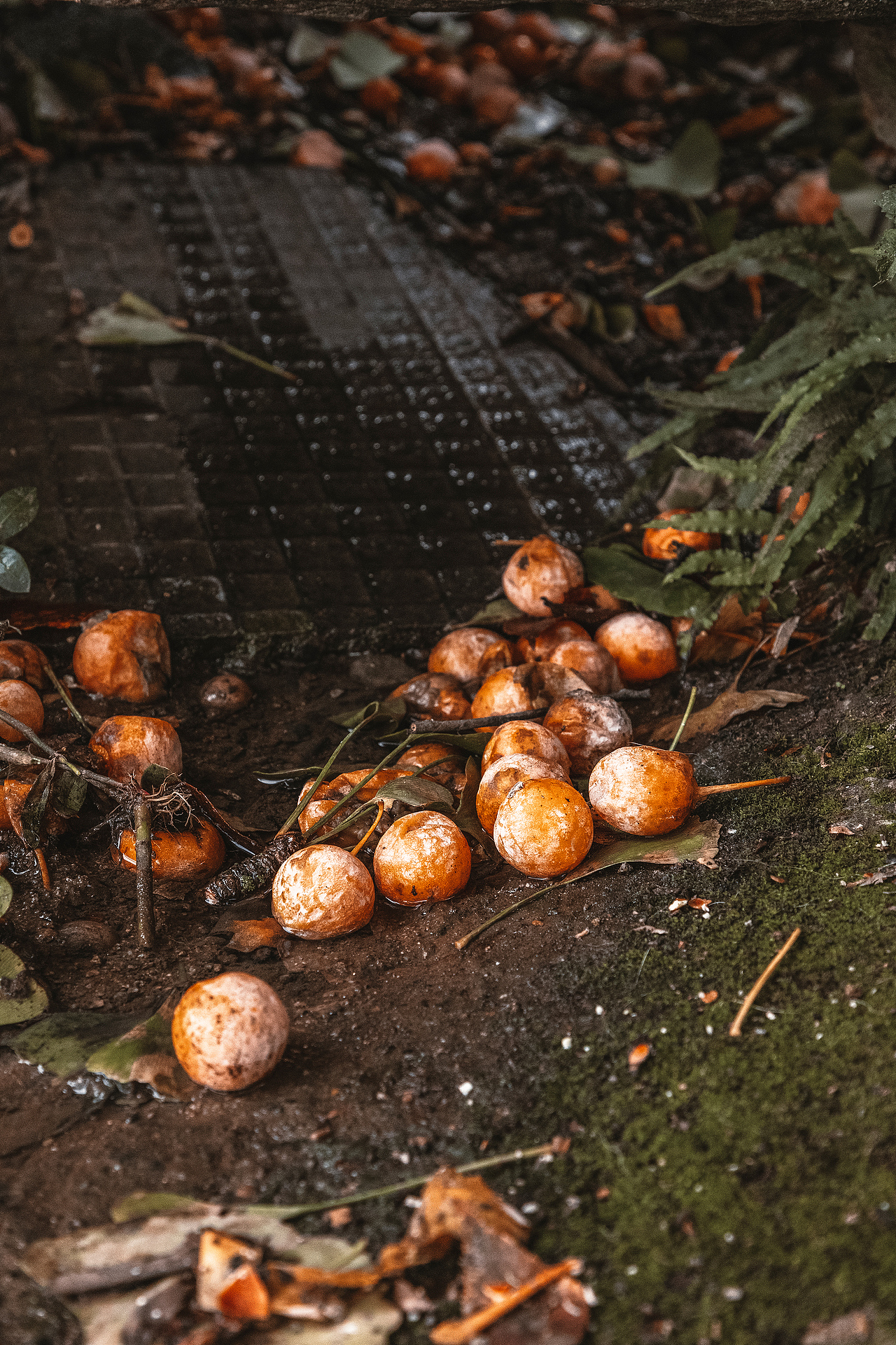 随处可见的农村场景（图ZMjI3MTIyNzA0） - 人文/纪实摄影 - 站酷设计师我有条狗叫汤圆原创素材 - 站酷ZCOOL