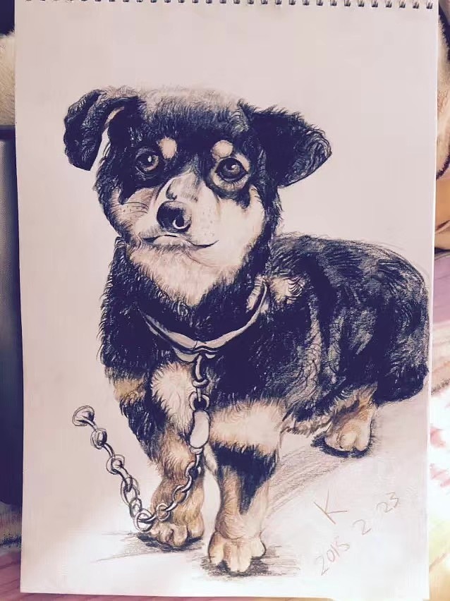 前几年的随手一画