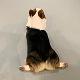 李博亮的头像