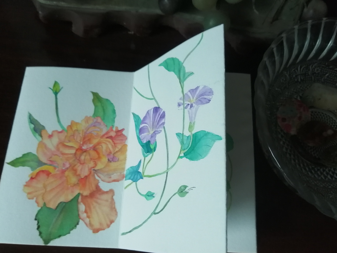 水彩 插画 手绘