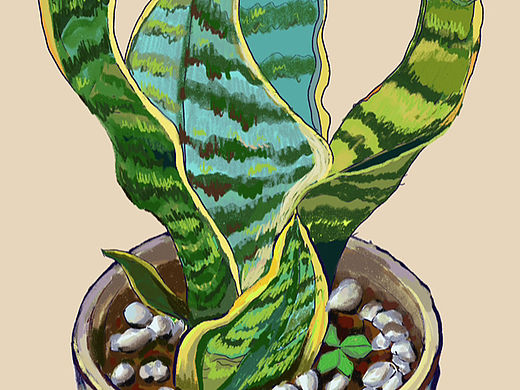 原创小绿植（个人主页-ZNjIyMjE4MDQ=） - 绘画 - 站酷设计师渺沧海之一叶原创素材 - 站酷ZCOOL