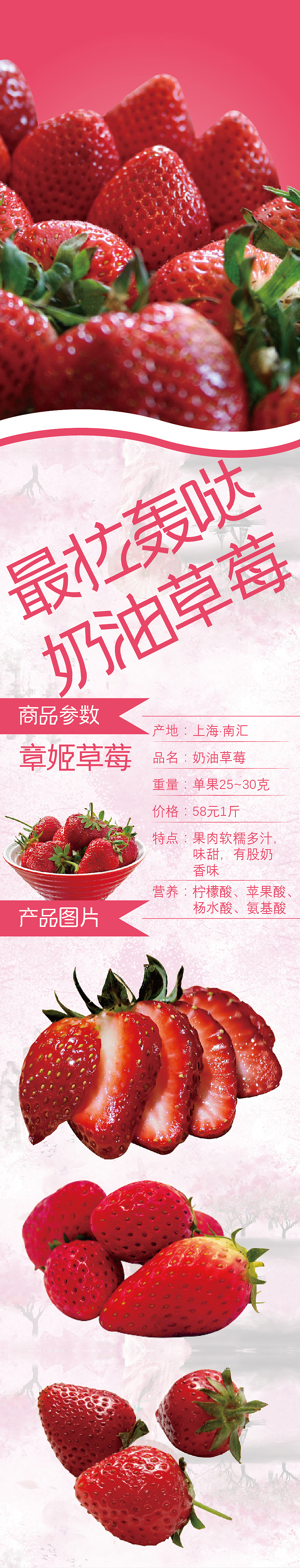 章姬草莓（图ZMTE2Njg1NzQ4） - 宣传物料 - 站酷设计师0o桃丶羽秋蝉0o原创素材 - 站酷ZCOOL