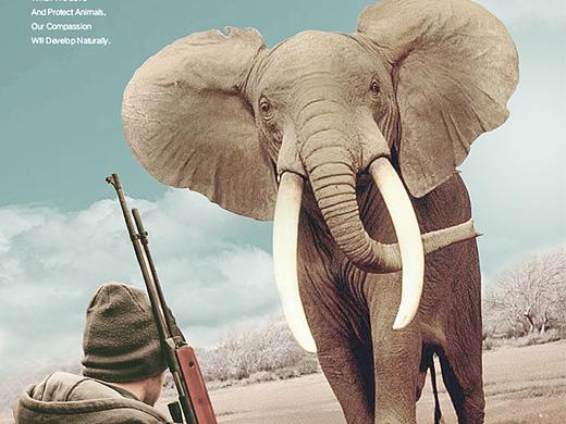 海報(bào)（個(gè)人主頁(yè)-ZNDY0MDUxNjQ=） - 海報(bào) - 站酷設(shè)計(jì)師両氏精靈原創(chuàng)素材 - 站酷ZCOOL