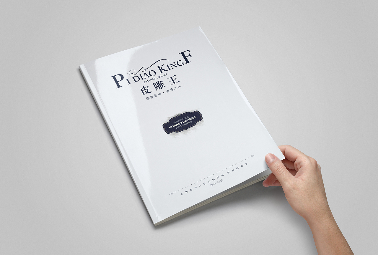 皮雕王画册（图ZMzYzMDIwOTY=） - 书籍/画册 - 站酷设计师有皇上保护刺客原创素材 - 站酷ZCOOL