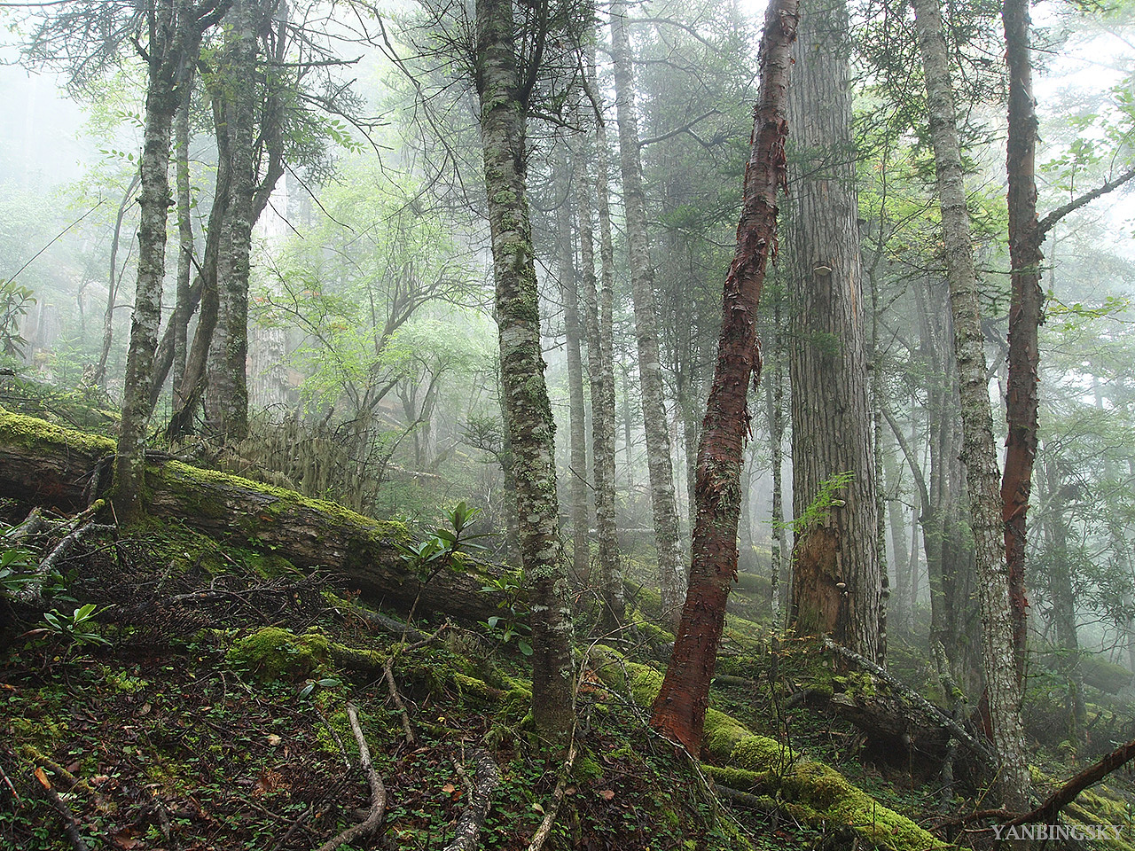 行迹2010-2012（图ZMzg3MDI1MjQ=） - 风光摄影 - 站酷设计师YANBINGSKY原创素材 - 站酷ZCOOL