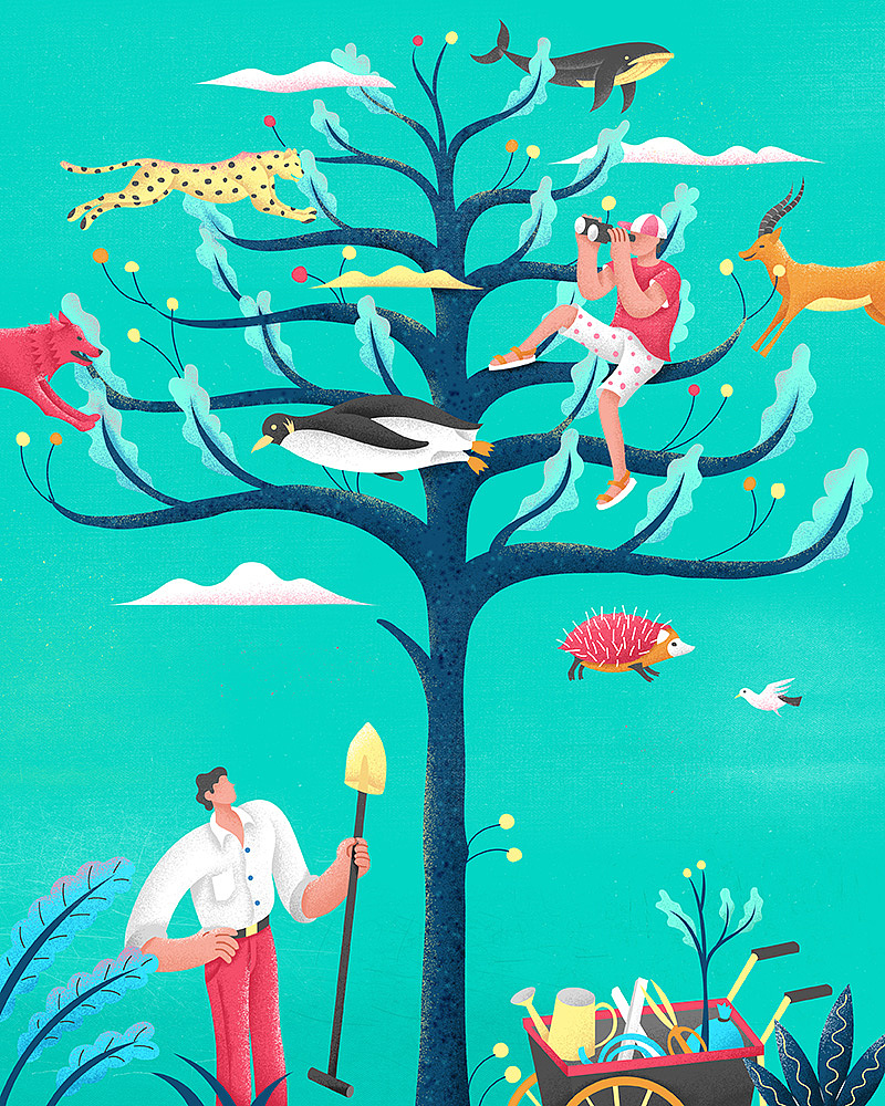 插画合集——2020（3）