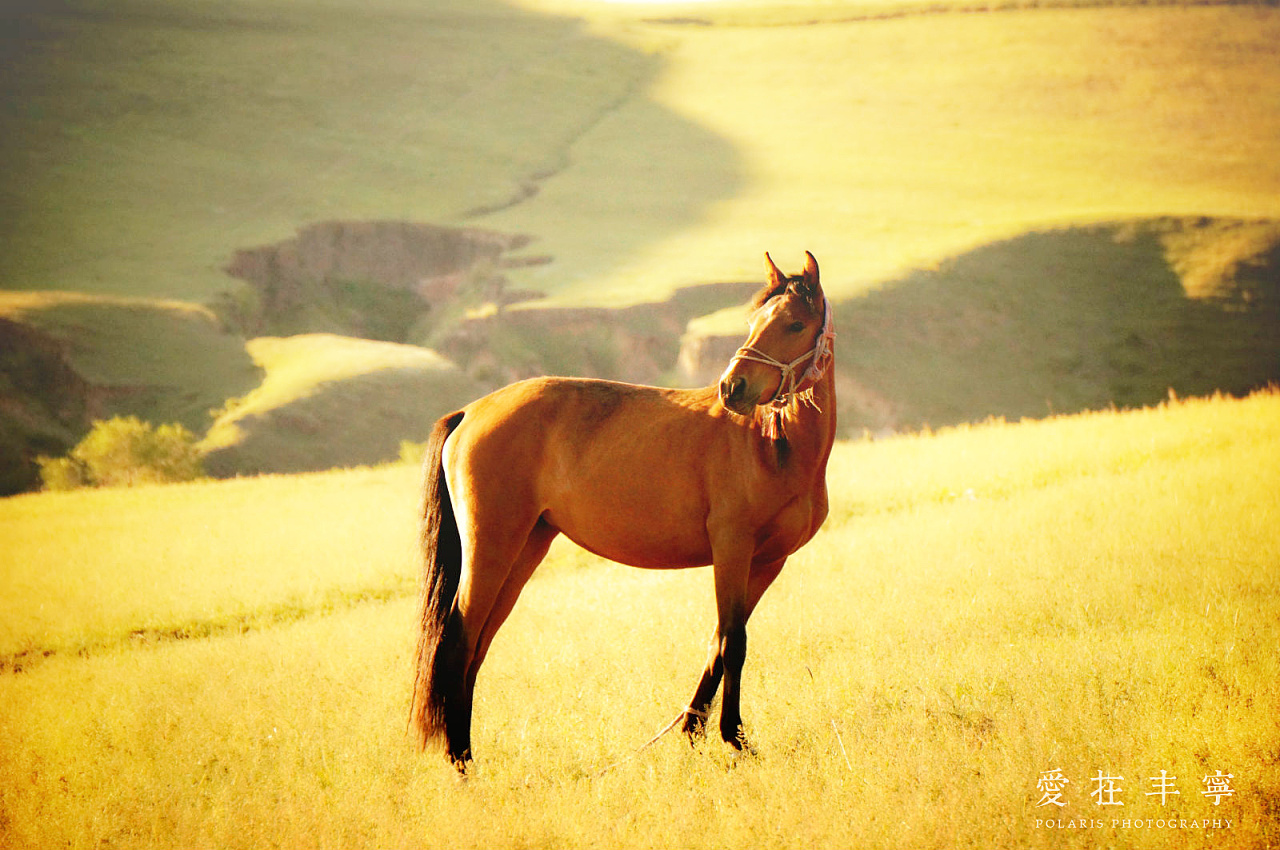 爱在丰宁#出发的勇气2014