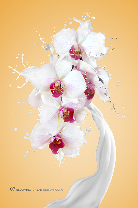 Blooming cream盛放的奶油-PS合成教程(图ZMTc5ODcyNA==) - 品牌 - 站酷设计师Edisonwong7原创素材 - 站酷ZCOOL