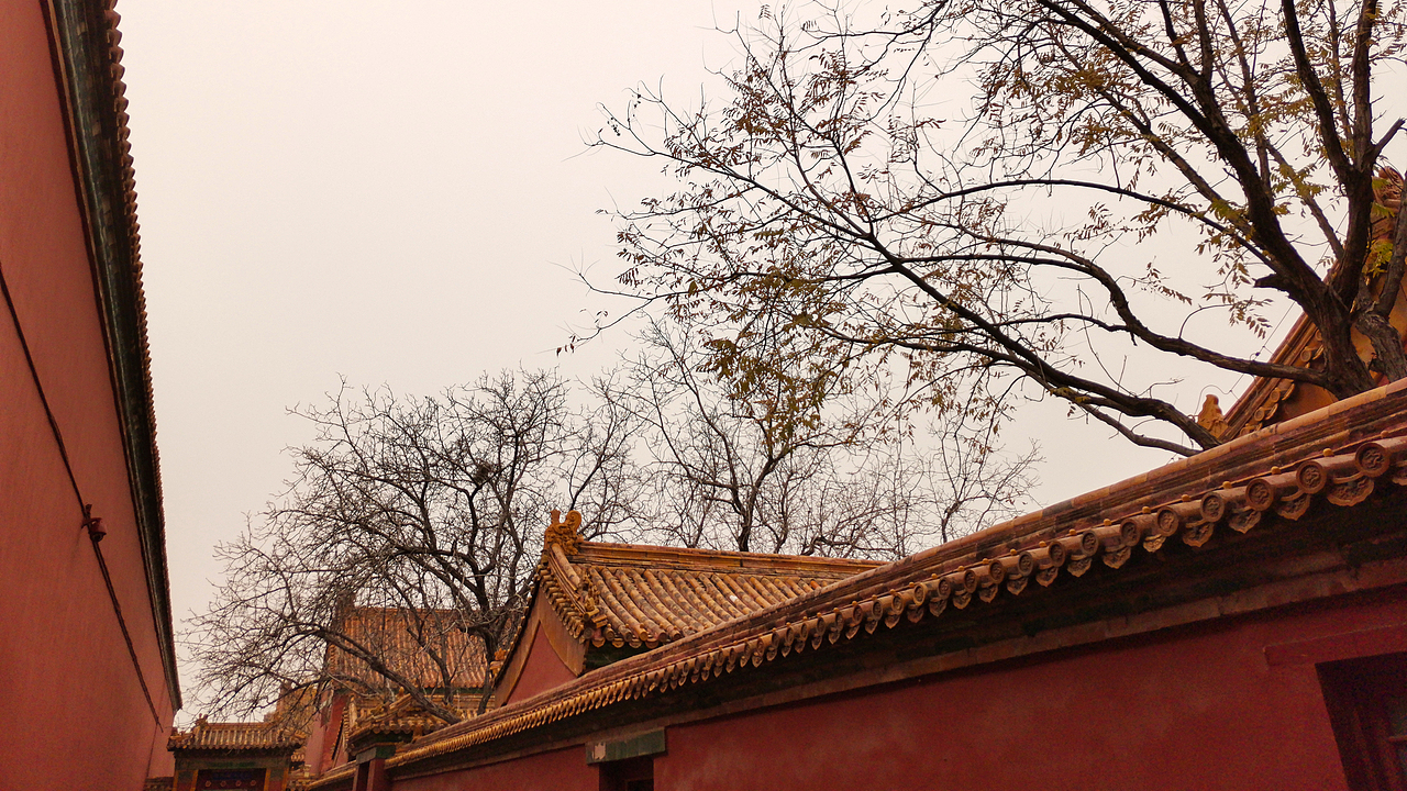 故宫-柿子红了（图ZMTg2MzA2NDA0） - 人文/纪实摄影 - 站酷设计师嗨皮工坊原创素材 - 站酷ZCOOL