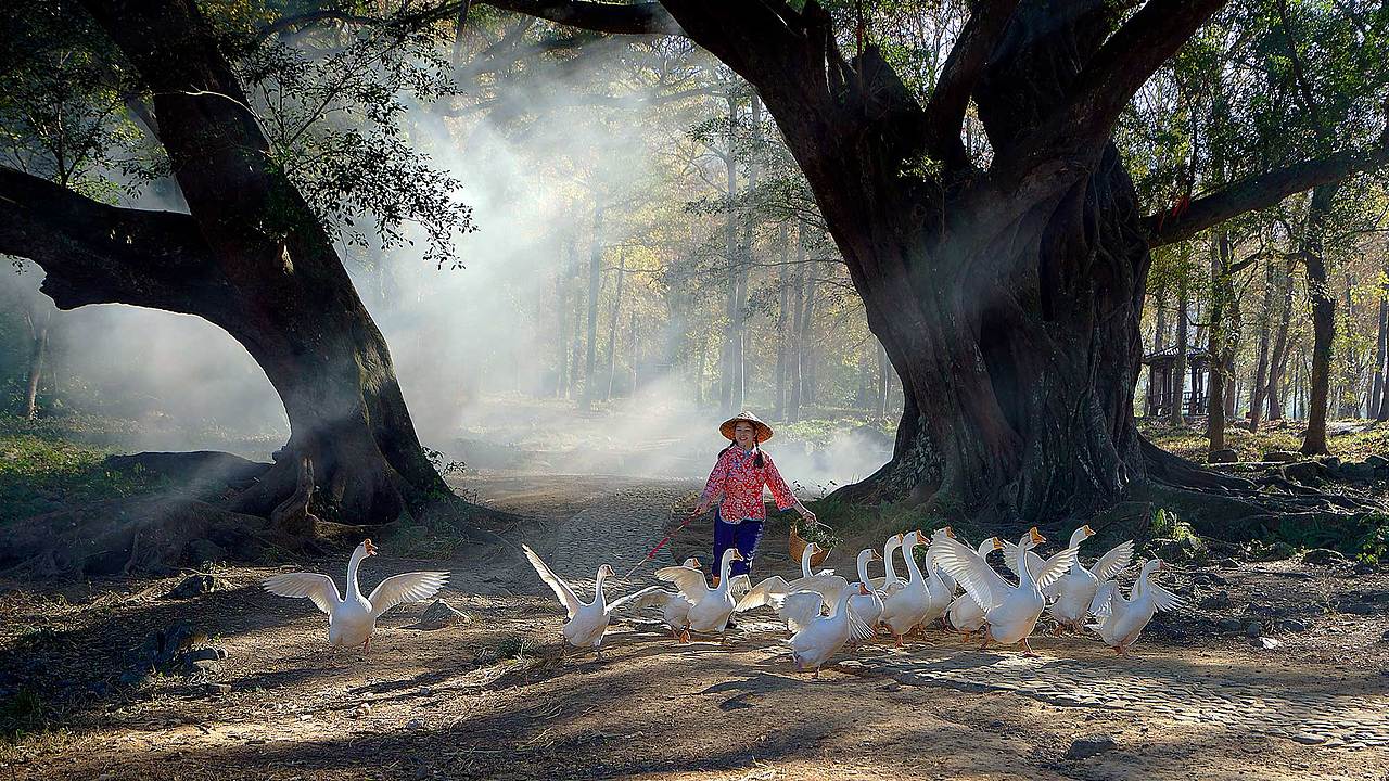 吕燕群先生摄影作品——2020年12月（图ZMjM4MzAxMTQ0） - 人像摄影 - 站酷设计师纳木念夕原创素材 - 站酷ZCOOL