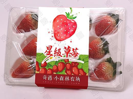 草莓包装-腰封设计