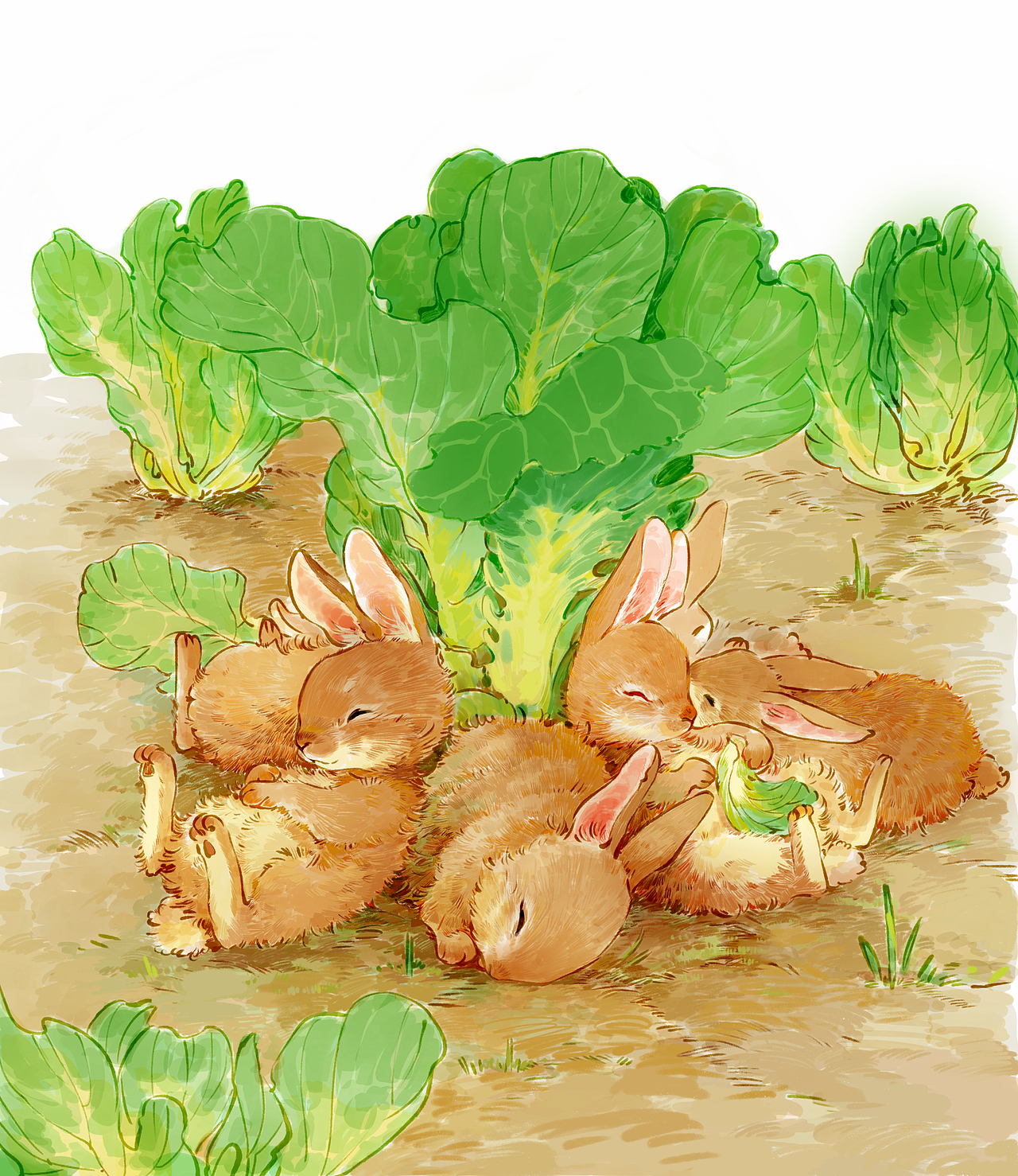 彼得兔经典系列再创作2.