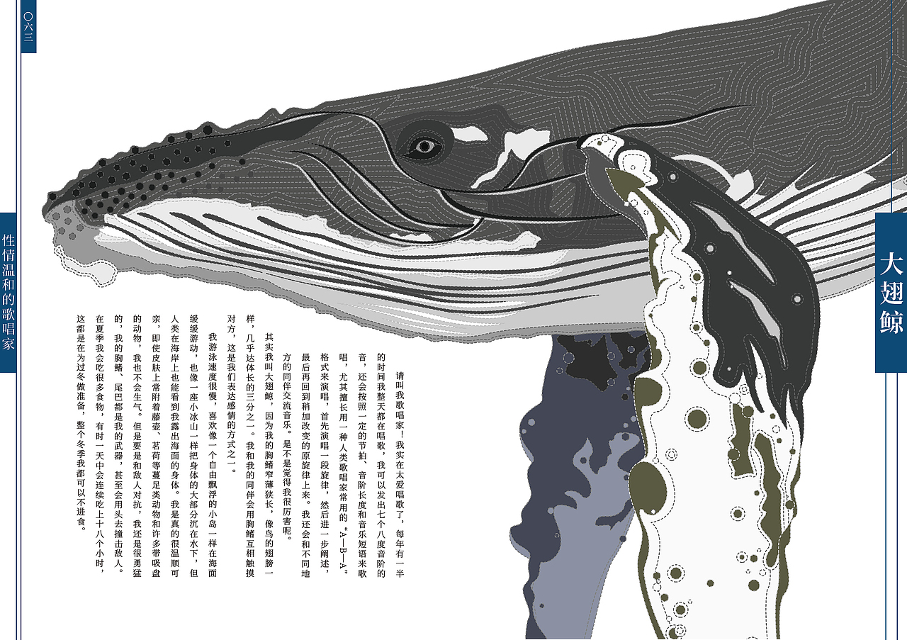 《假如我们会说话》70种中国珍贵野生动物书籍设计·二
