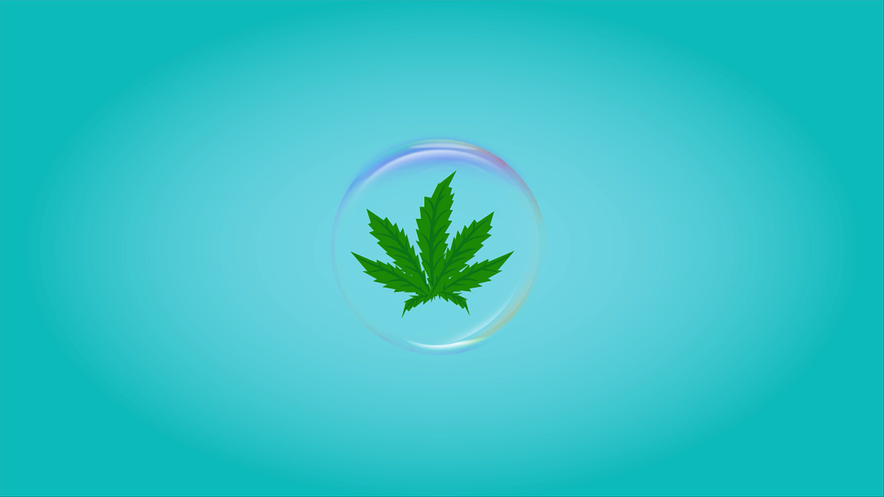 汉麻科普宣传MG动画