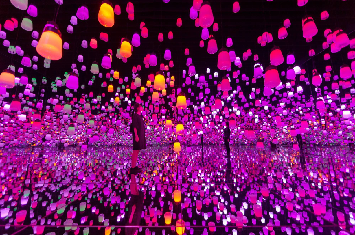 呼吸灯森林中的齐放百花