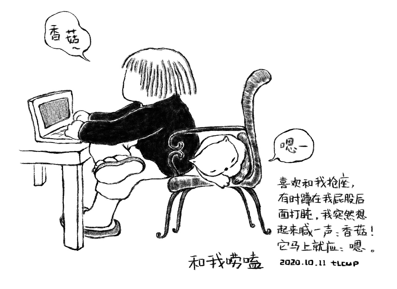 每日一猫小涂合集