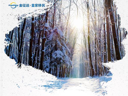 傳統(tǒng)節(jié)氣——立冬海報(bào)（個(gè)人主頁(yè)-ZNDkwMjU1Mjg=） - 海報(bào) - 站酷設(shè)計(jì)師Y羊羊羊原創(chuàng)素材 - 站酷ZCOOL