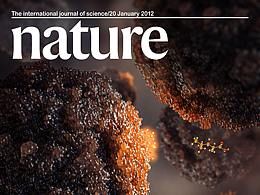 西西智研CNS级顶刊SCI封面作品