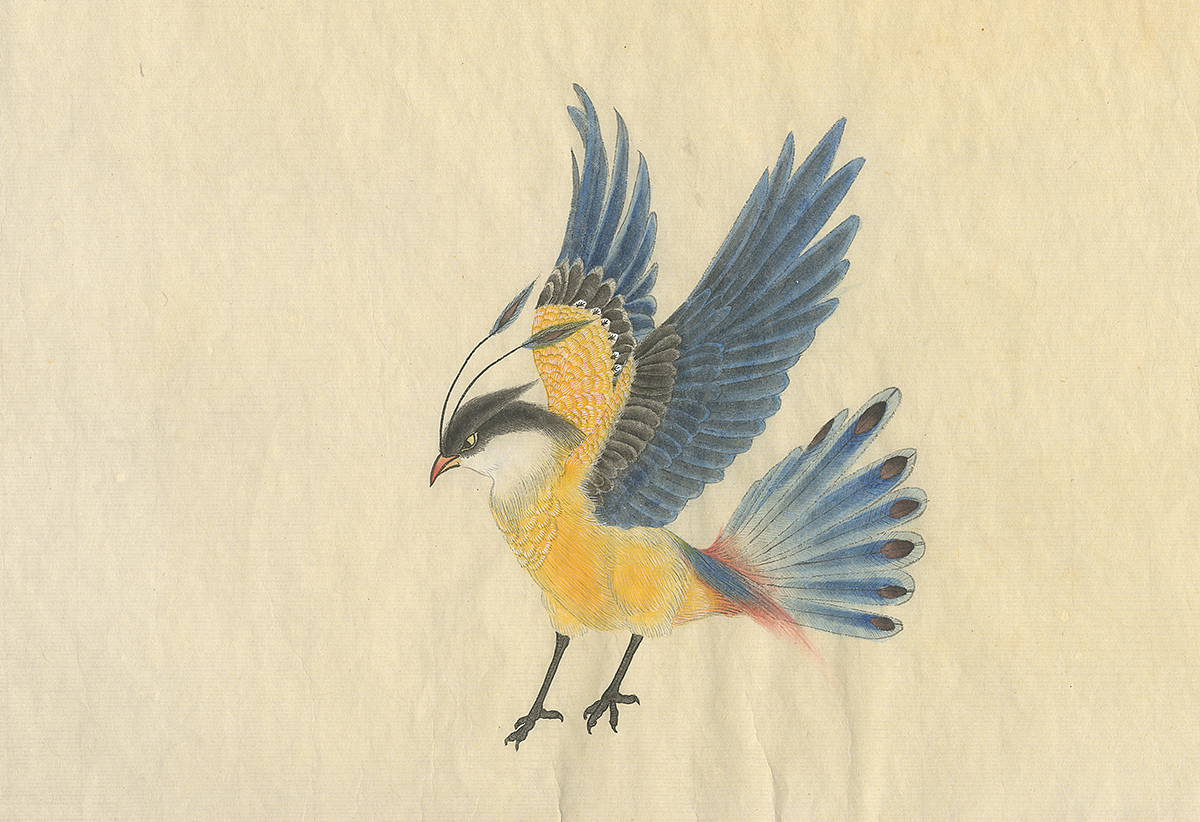 （by 老三）派格元年（2011-2012）（圖ZMzk0MTY0MDQ=） - 藝術插畫 - 站酷設計師老三叁原創(chuàng)素材 - 站酷ZCOOL