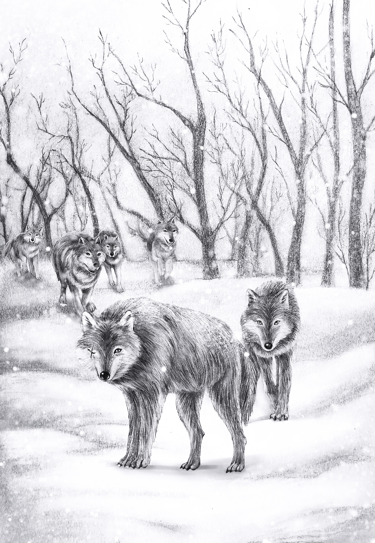 几张黑白的儿插