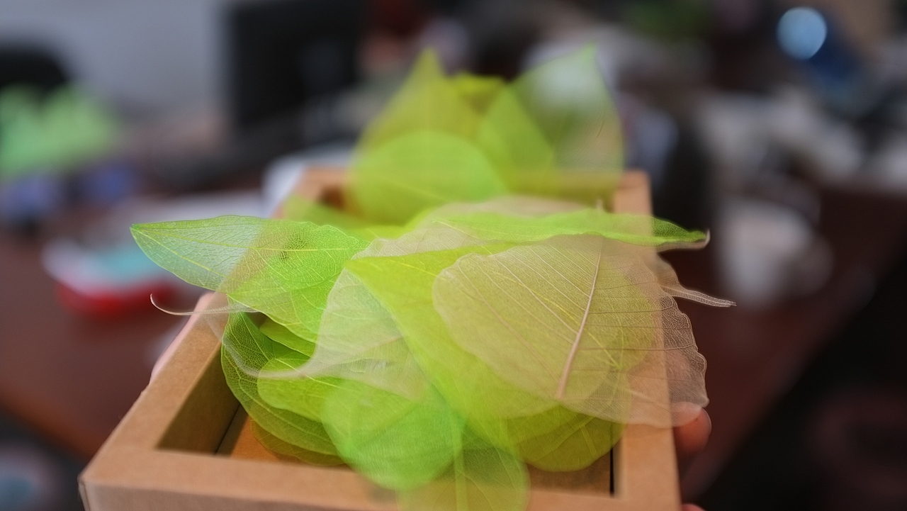 《叶碎落》TOM逐梦香格里拉——小叶子（图ZMTE4MDMzMzI=） - 产品摄影 - 站酷设计师MrKoki原创素材 - 站酷ZCOOL