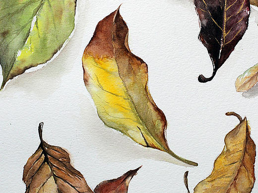 秋葉（個(gè)人主頁(yè)-ZMjkxNjQ1ODg=） - 藝術(shù)插畫 - 站酷設(shè)計(jì)師宛青是我原創(chuàng)素材 - 站酷ZCOOL