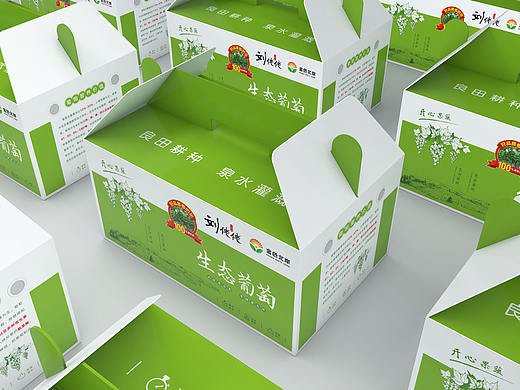 《生态葡萄》包装设计