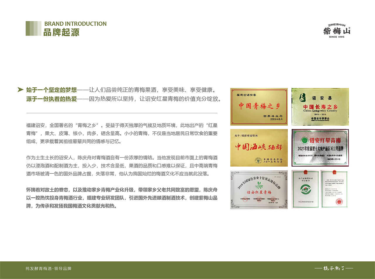 紫梅山青梅酒品牌手册