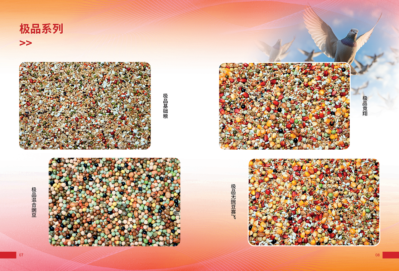 津门赛得利鸽粮产品展示（图ZMzU1NTIzNzAw） - 其他 - 站酷设计师那个小高哪里都好原创素材 - 站酷ZCOOL